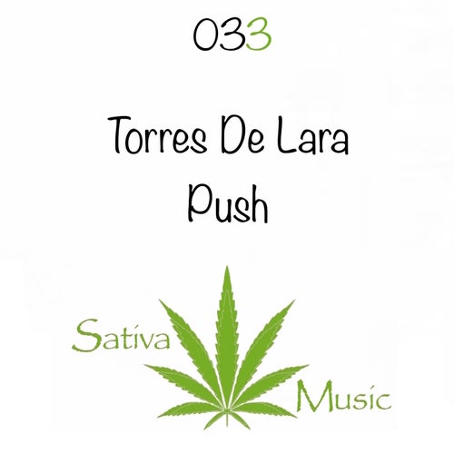 Torres De Lara - Push [SM033]